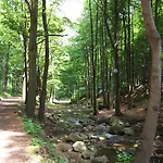 Hoellenblick Apartament Quedlinburg