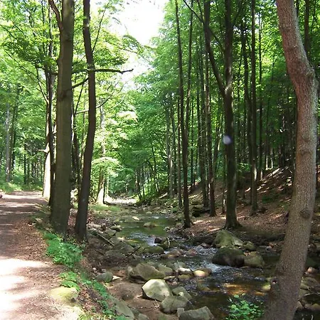 Hoellenblick 公寓 奎德林堡