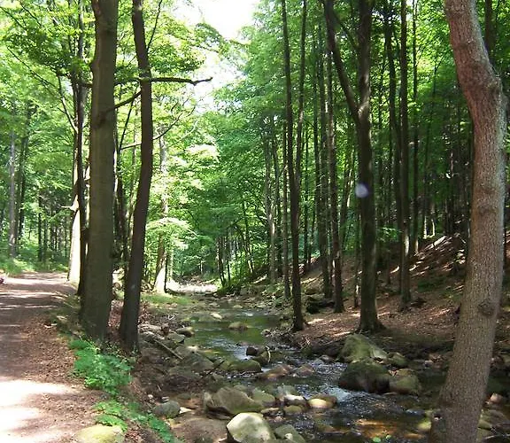 Hoellenblick 公寓 奎德林堡